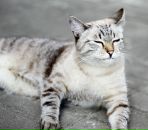 Фотография Хон Катерины