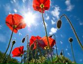 Фотография Парфиловой Татьяны