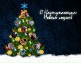 Леся Марків(дем'янчук) фотография #38 (источник - https://vk.com/id110290144)