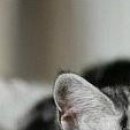 Сірожа Стицюк фотография #37 (источник - https://vk.com/id133380888)