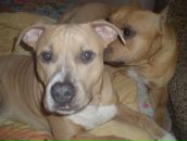 Серий Челядін фотография #21 (источник - https://vk.com/id7693308)