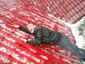 Фотография Веселова Дмитрия