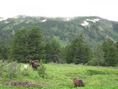 Фотография Мальковой Ани