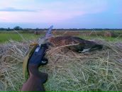 Фотография Самойлова Сергея