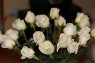 Надія Могила (стухляк) фотография #1