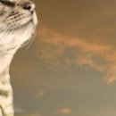 Іван Зеленяк фотография #27 (источник - https://vk.com/id133769797)