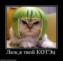 N[i]ki Baby фотография #13 (источник - https://vk.com/id66662499)