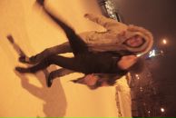 Фотография Чернякова Ивана