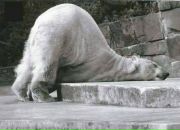 Фотография Овчинниковой Екатерины