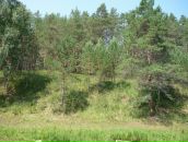 Іван Руднік фотография #23 (источник - https://vk.com/id113826045)