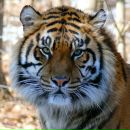 Фотография Аббясовой Альфии