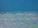 Эдуард Κрюков фотография #32 (источник - https://vk.com/id64675139)