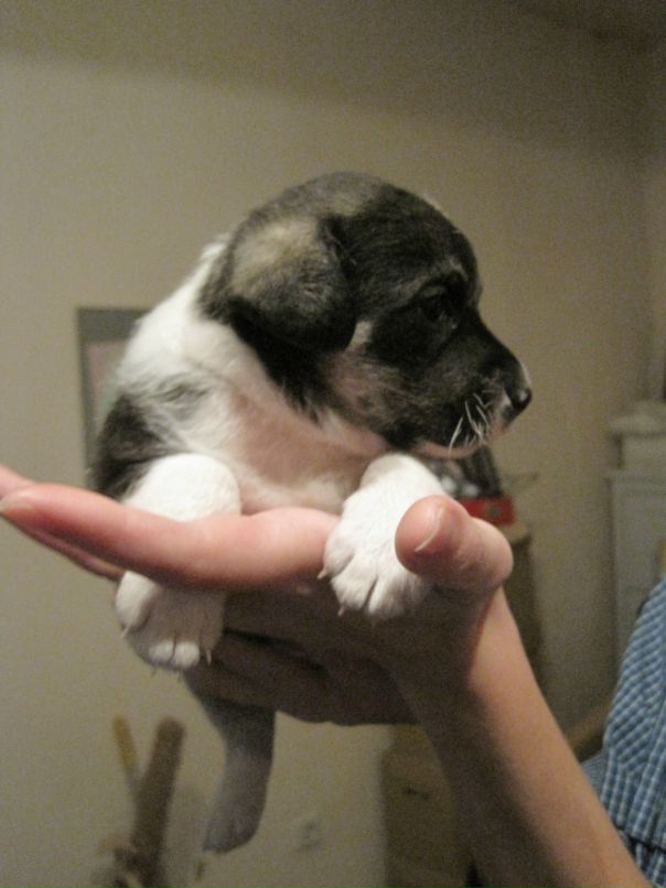 Анна Бородина фотография #26