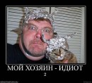 Кот =) фотография #16 (источник - https://vk.com/id89873718)