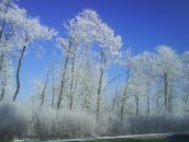 Ірина Хома фотография #37 (источник - https://vk.com/id12775097)