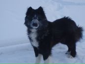 Фотография Солодкиной Татьяны