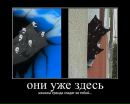 Κонстантин Φилиппов фотография #3 (источник - https://vk.com/id22238301)