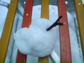 Фотография Пантуевой Нины