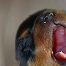 Каріно4ка♥ Шрамко фотография #10 (источник - https://vk.com/id147791993)