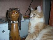 Фотография Kushnarev Oleg