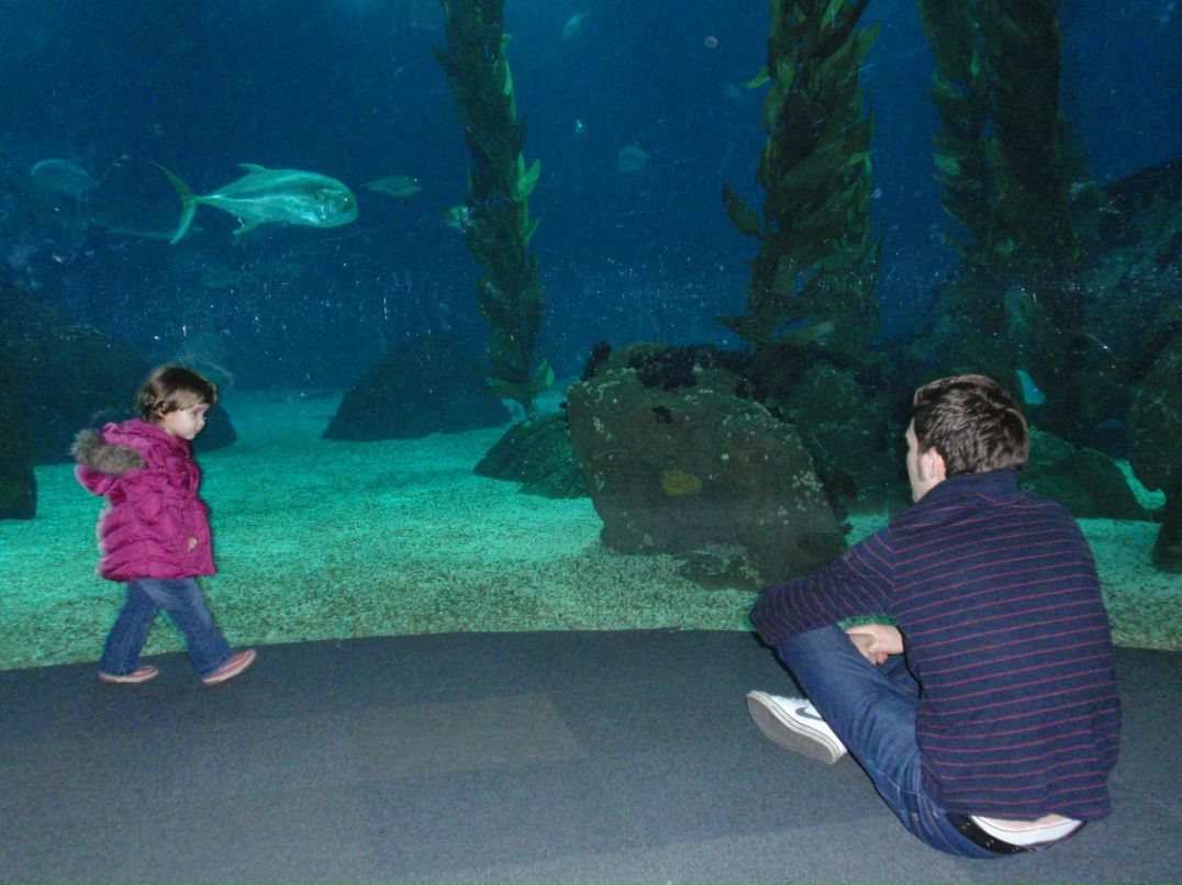 Дима Тарасов фотография #49