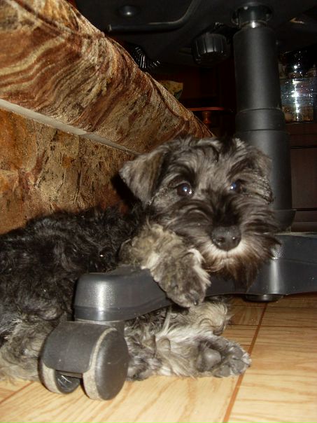 Сергей Сухарев фото №48