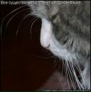 Фотография Кулаковой Ольги