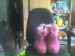  фотография #5