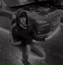 Золі Балаж фотография #34 (источник - https://vk.com/id134764916)