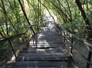 Ніна Корнат фотография #29 (источник - https://vk.com/id123230599)