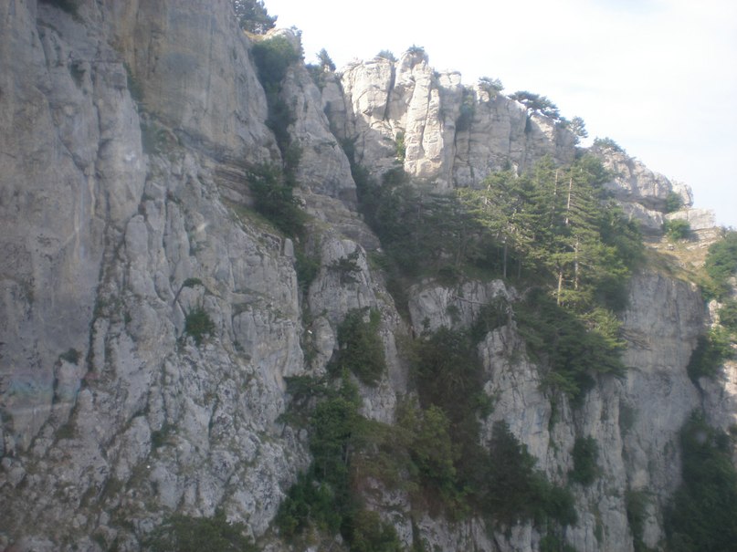 Дима Дмитриев фотография #41