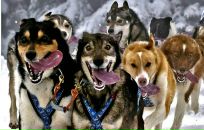 Victor Sheremetker фотография #48 (источник - https://vk.com/id1655770)