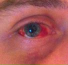 Фотография Огольцова Ильи