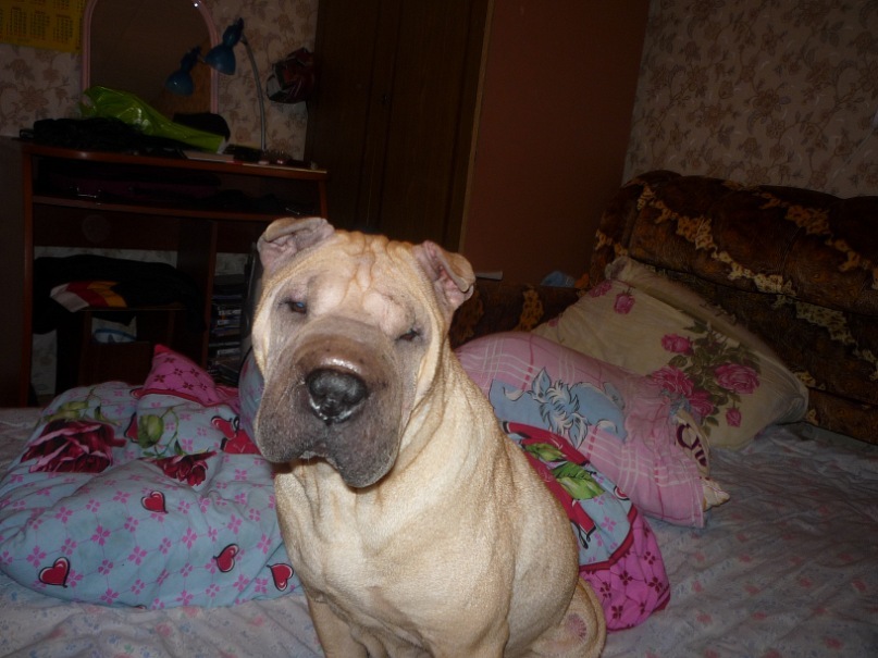 Дмитрий Малов фотография #5