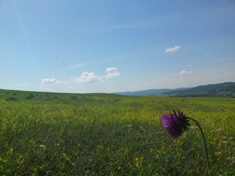 Роман Воропаев фотография #13