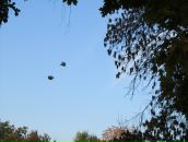 Анатолій Хідченко фотография #18 (источник - https://vk.com/id30120253)