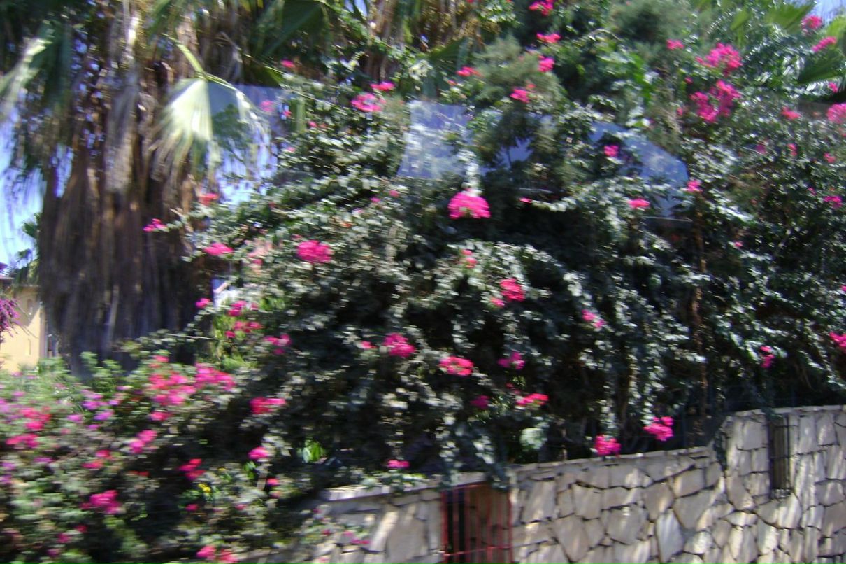 Princessa София фотография #14