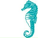 Фотография Турчина Андрея