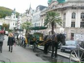 Анастасія Забурко фотография #34 (источник - https://vk.com/id6744600)