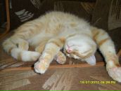 Фотография Калагиной Александры