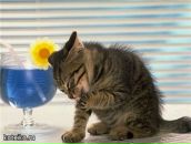 Фотография Соленковой Ирины