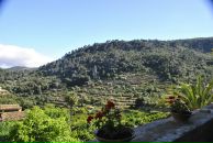 Саша Sspector фотография #21 (источник - https://vk.com/id196559)