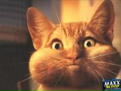 Фотография Чермошанской Наталии