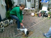 Фотография Кондратенко Дмитрия