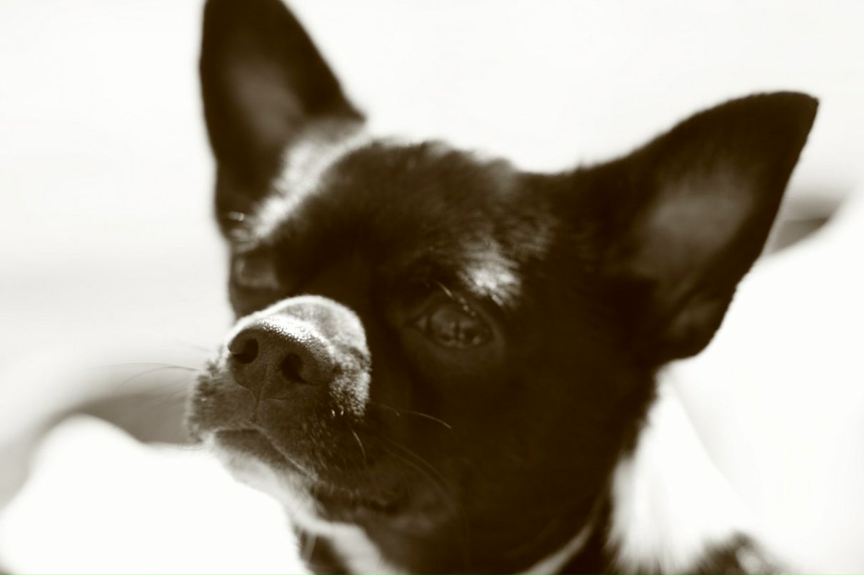 Макс Гашников фотография #46