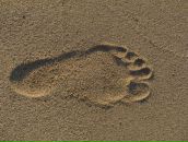 Фотография Никитиной Ольги