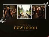 Віра Устяк фотография #11 (источник - https://vk.com/id117086437)