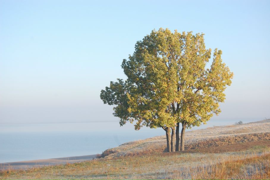 Михаил Яковлев фото №15