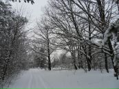 Вова Таргоній фотография #44 (источник - https://vk.com/id62501575)