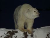 Фотография Левченко Михаила